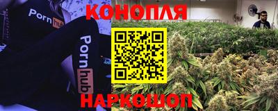 прущие крисы Ливны