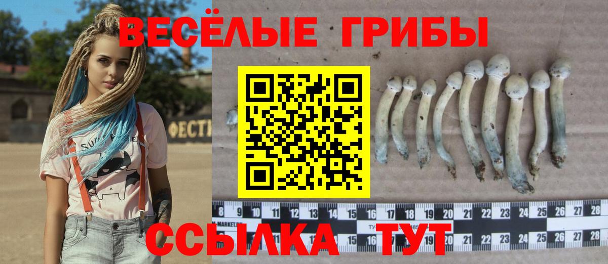 Галлюциногенные грибы мицелий Великие Луки